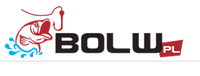 Bolw Kupon i kody promocyjne Bolw Kupon i kody promocyjne