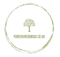 Yorkshire Bonsai Voucher & Promo Codes